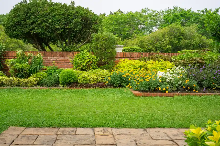 How Backyard Landscaping Can Improve Outdoor Entertainment Areas Pflugerville, TX