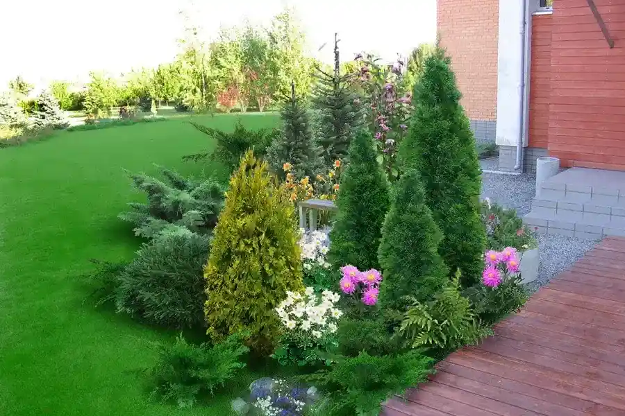 Local Backyard Landscaping Pflugerville, TX