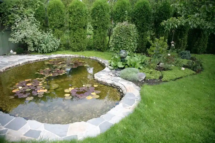 Quality Backyard Landscaping Pflugerville, TX