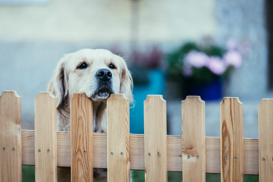 Superior Wood Fencing Pflugerville, TX