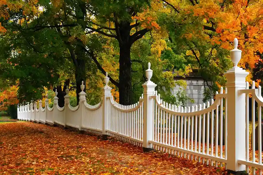 Wood Fencing Styles That Complement Your Landscaping Pflugerville, TX
