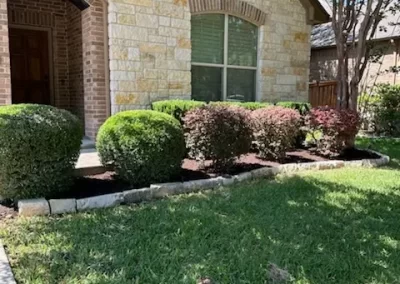 Lawn Services